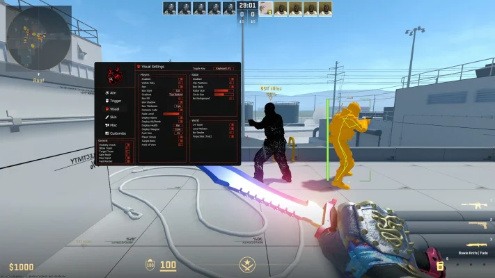 CS2 ESP (Wallhacks)